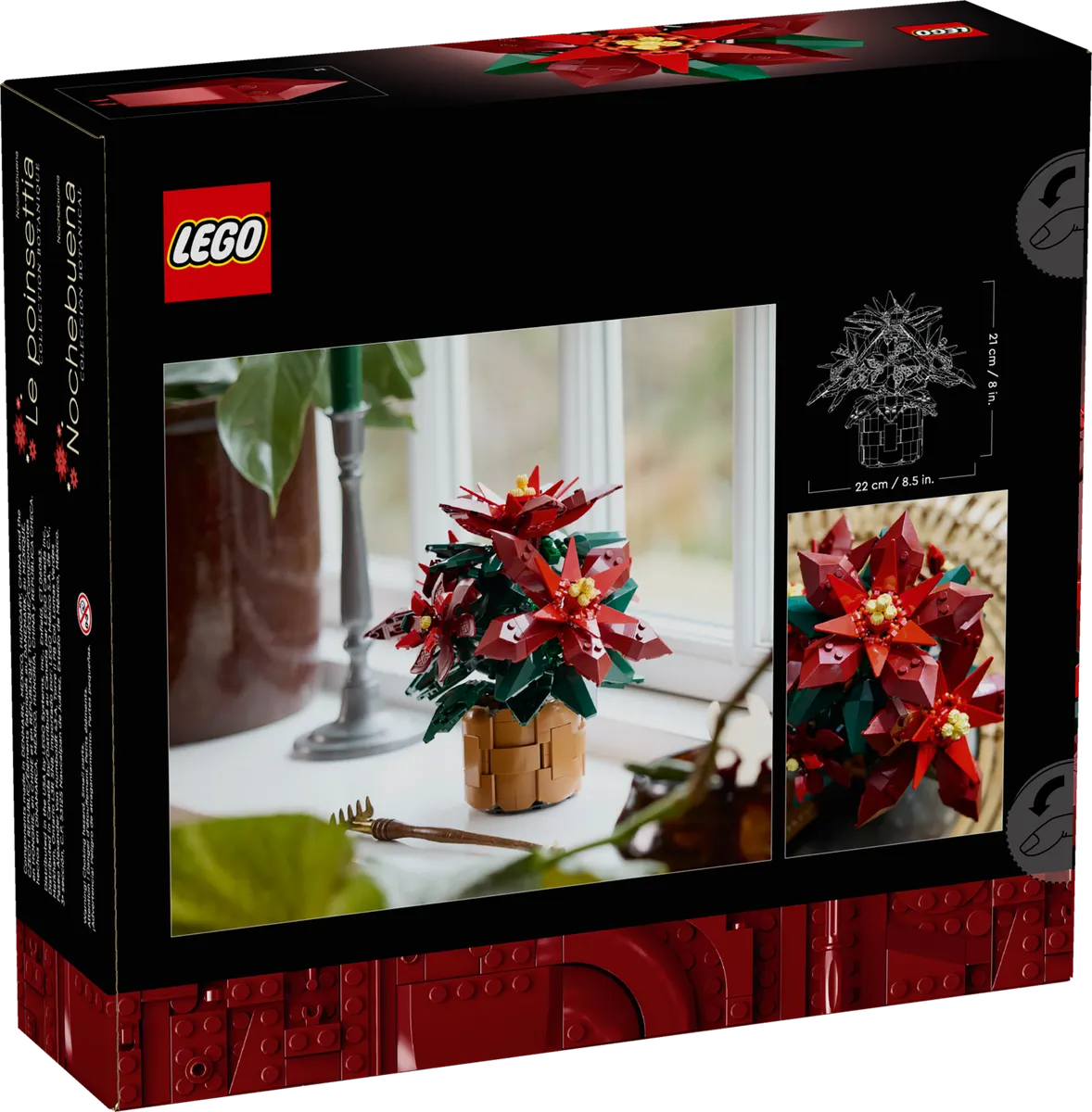 Poinsettia - Image 6