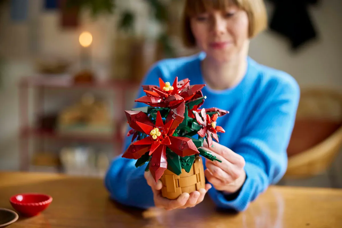 Poinsettia - Image 4
