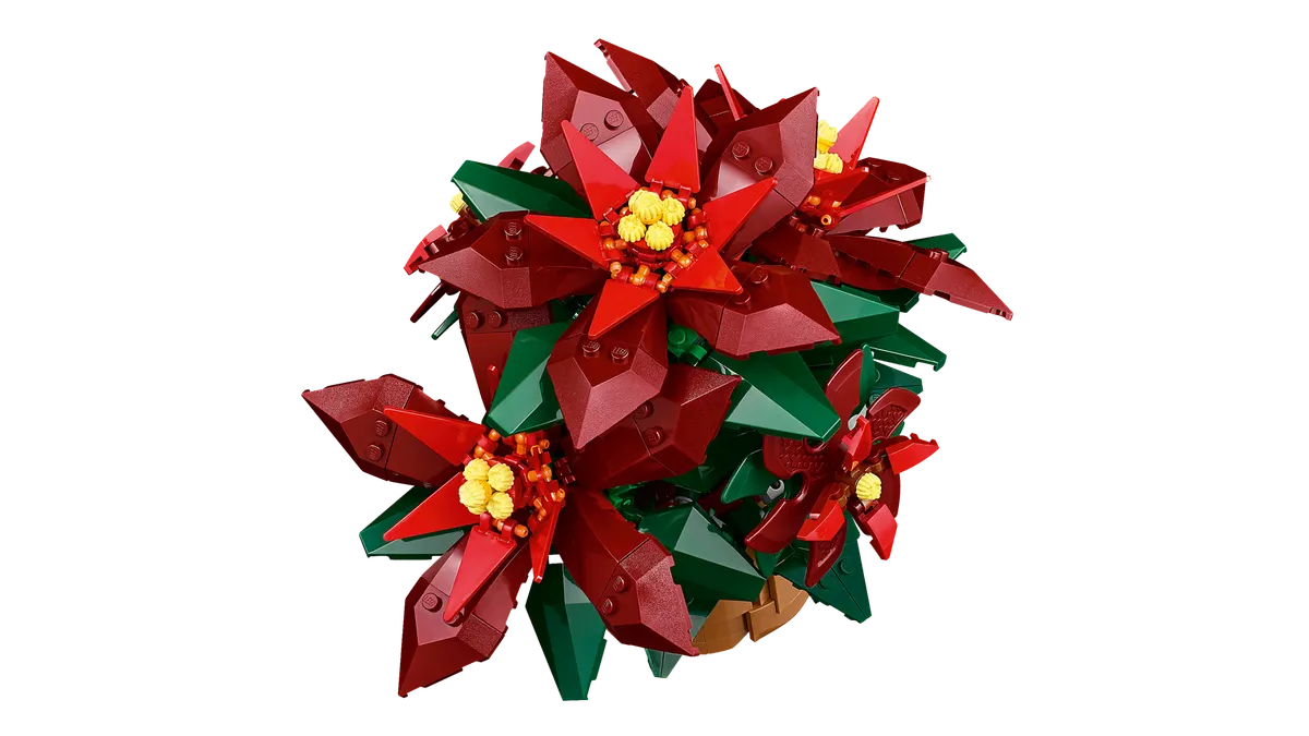 Poinsettia - Image 8