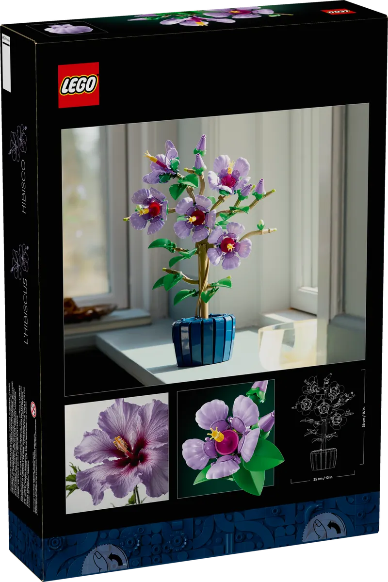 Hibiscus - Image 9