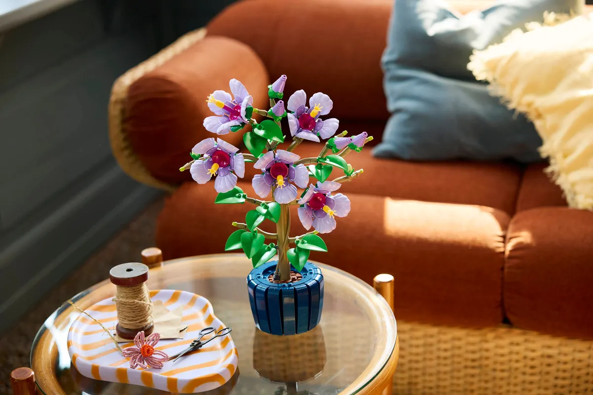Hibiscus - Image 8