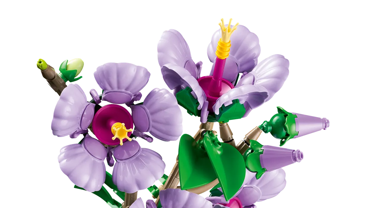 Hibiscus - Image 10
