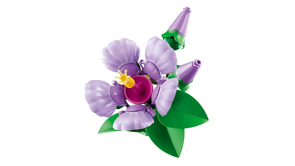 Hibiscus - Image 12