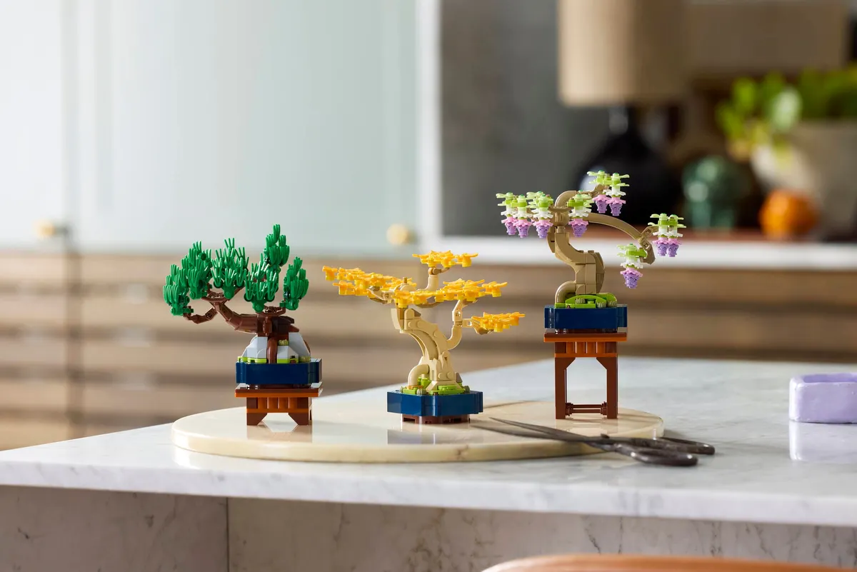 Mini Bonsai Trees - Image 9