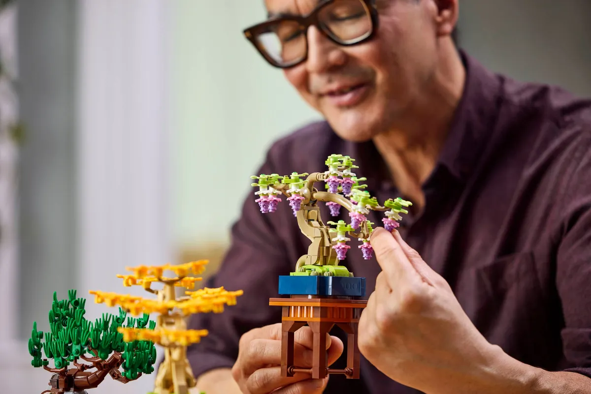 Mini Bonsai Trees - Image 6