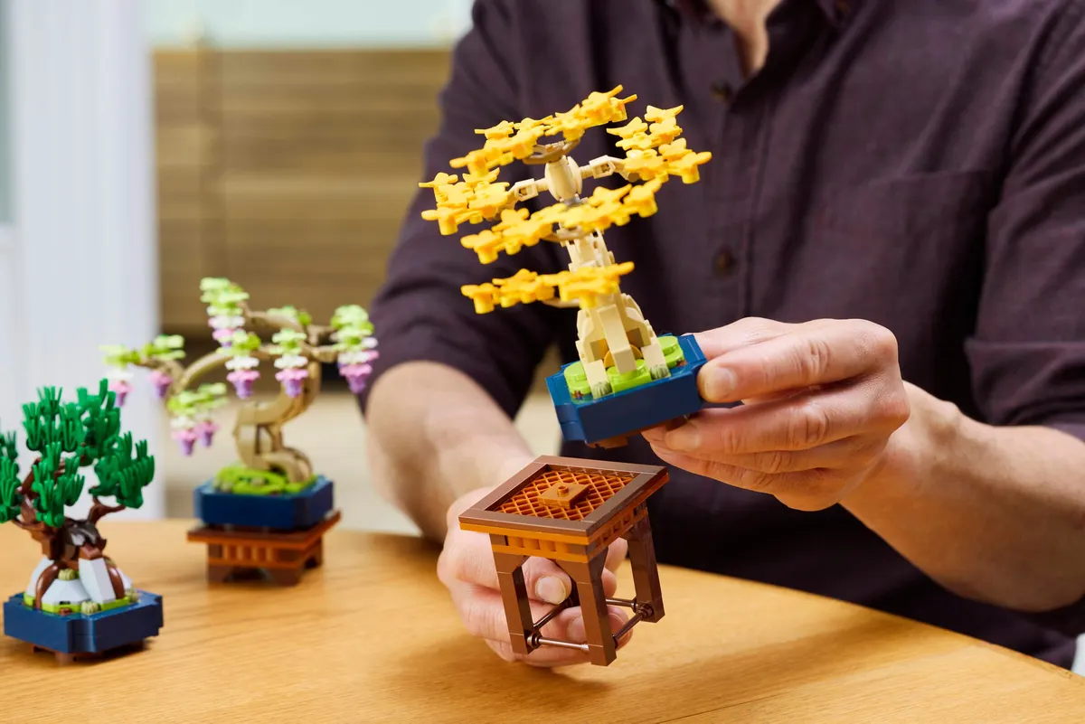 Mini Bonsai Trees - Image 5