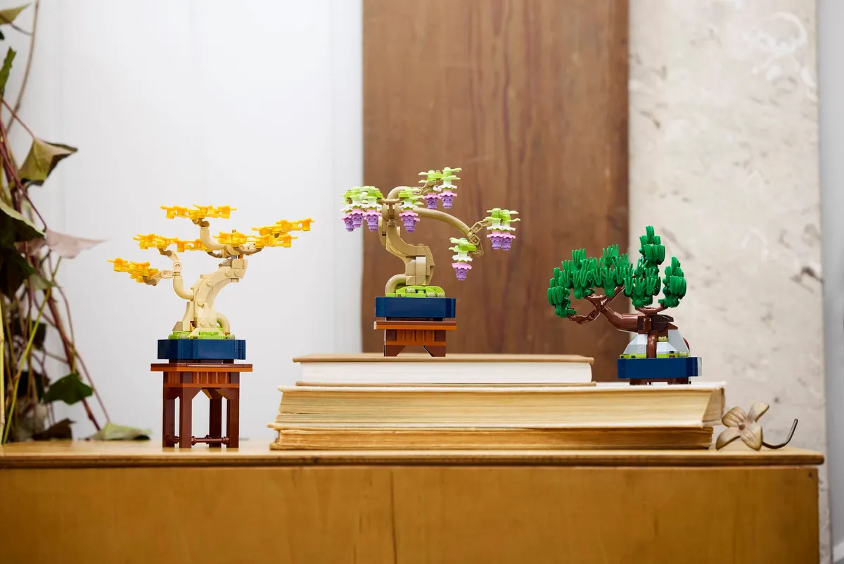 Mini Bonsai Trees - Image 10