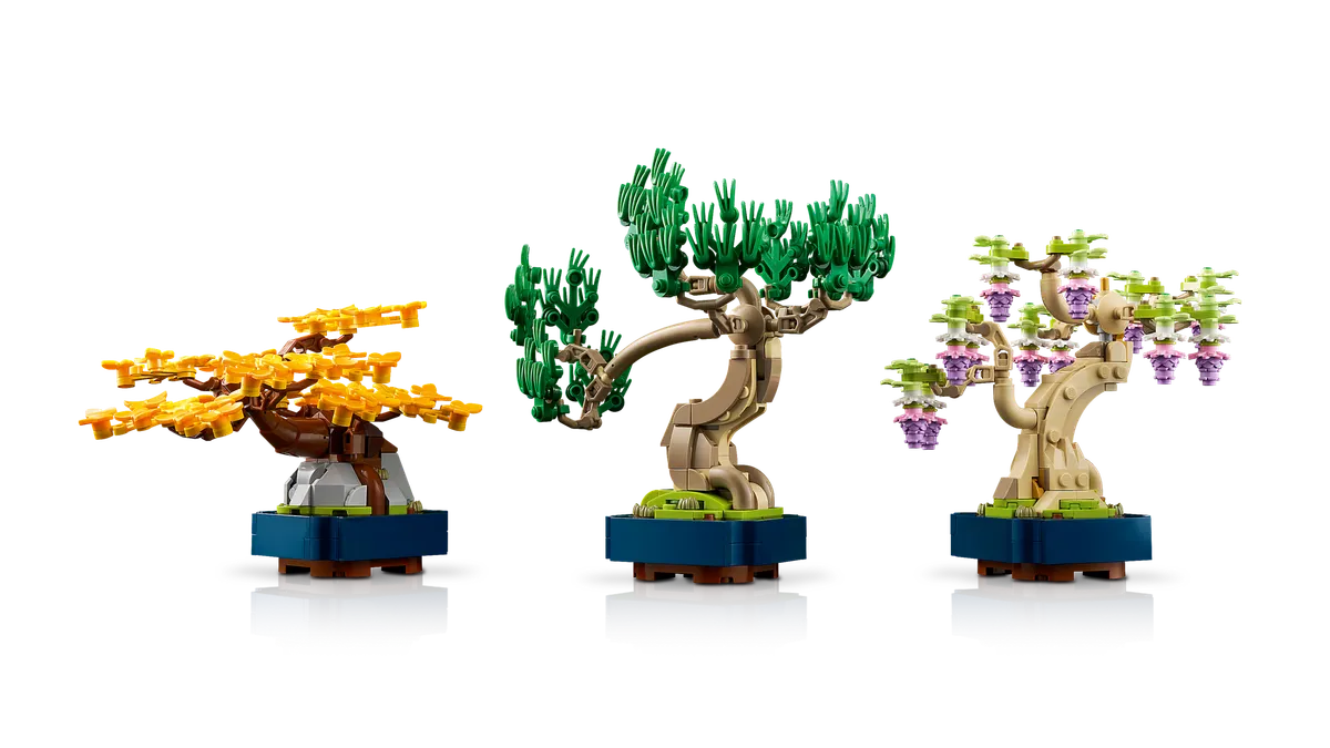 Mini Bonsai Trees - Image 12