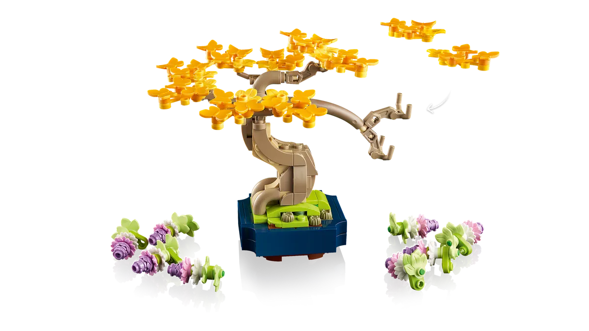 Mini Bonsai Trees - Image 15
