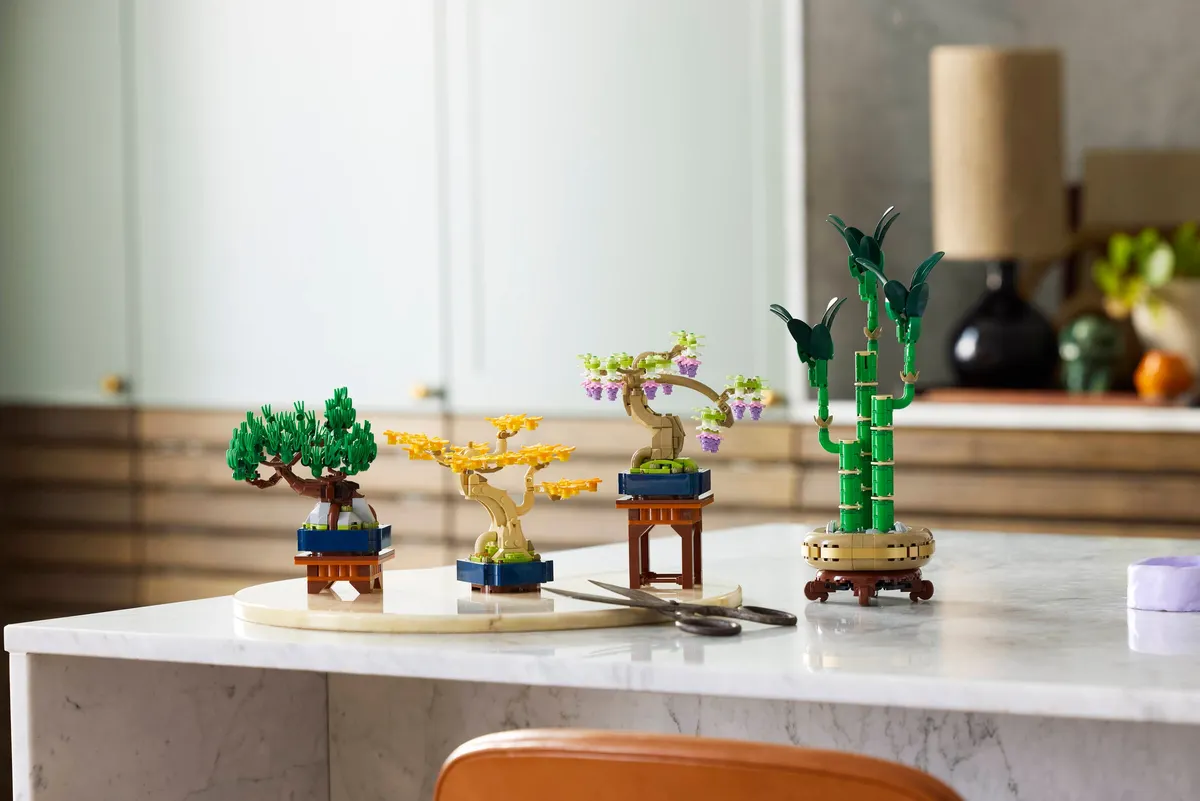 Mini Bonsai Trees - Image 4