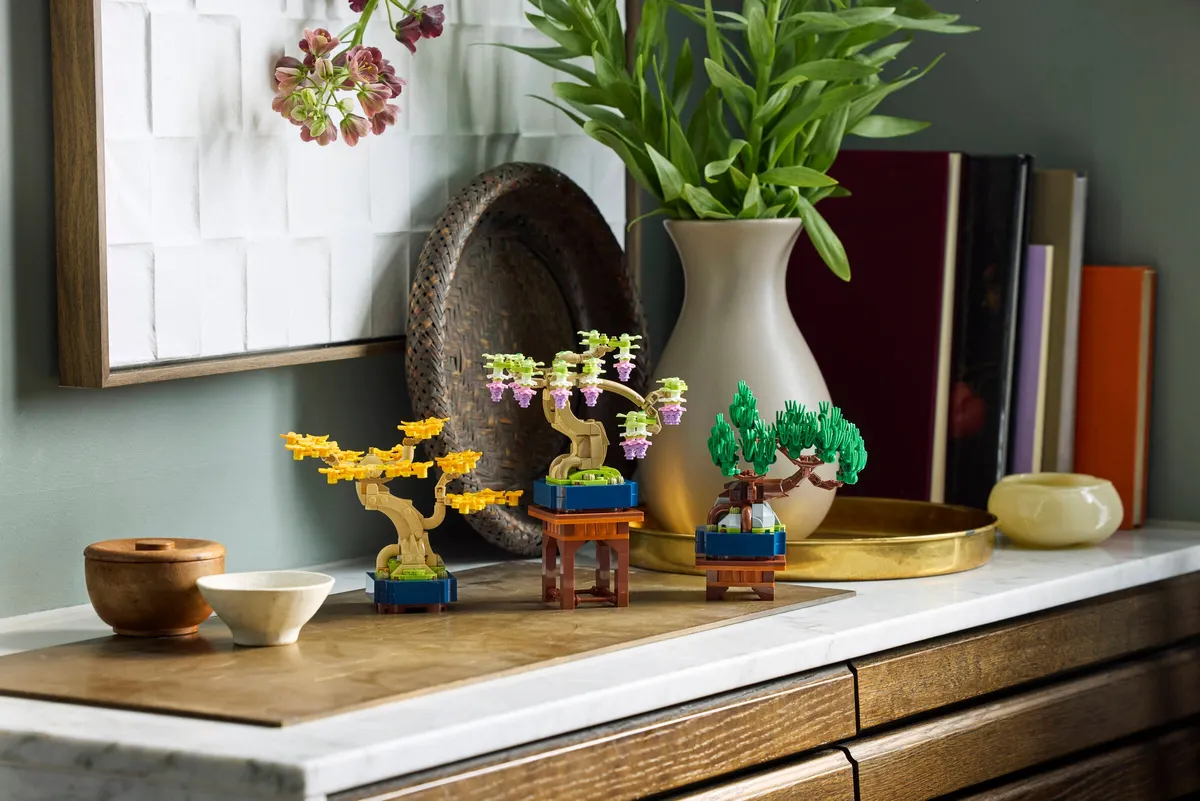 Mini Bonsai Trees - Image 8