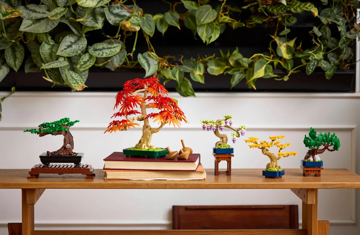 Mini Bonsai Trees - Image 3
