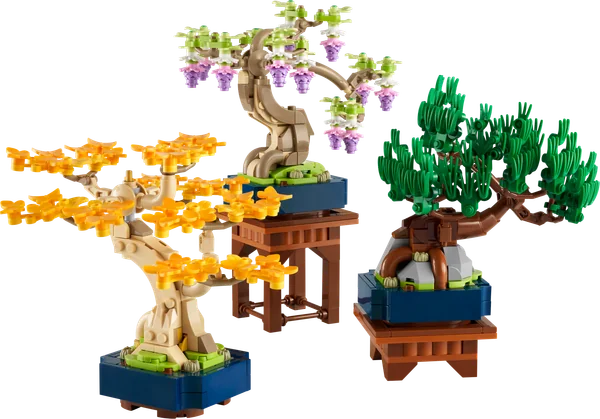 Mini Bonsai Trees