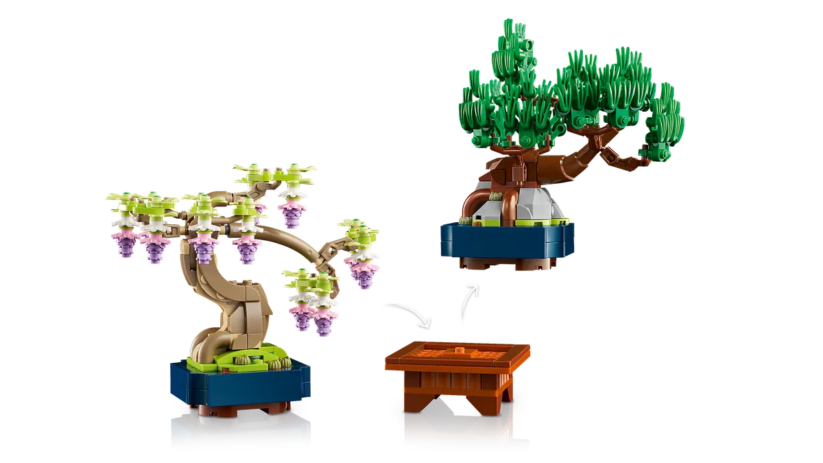 Mini Bonsai Trees - Image 14