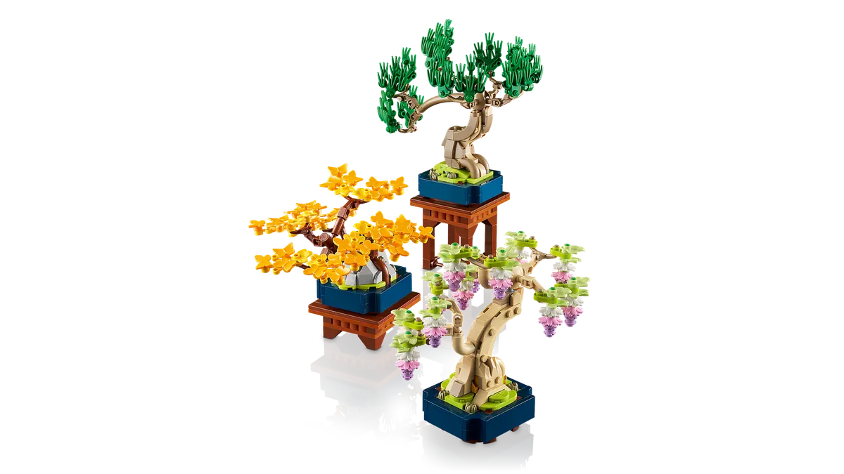 Mini Bonsai Trees - Image 13