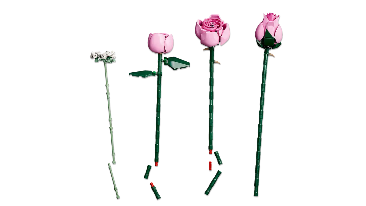 Bouquet of Pink Roses - Image 17