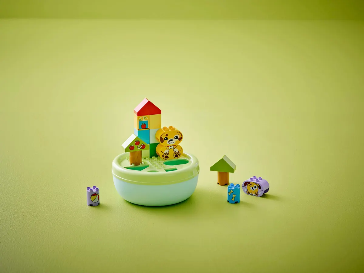 Shape Sorter: Puppy House - Image 5