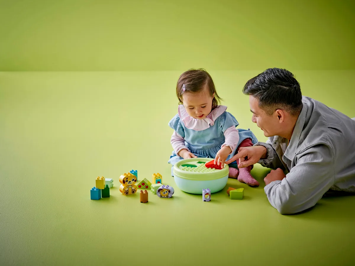 Shape Sorter: Puppy House - Image 4