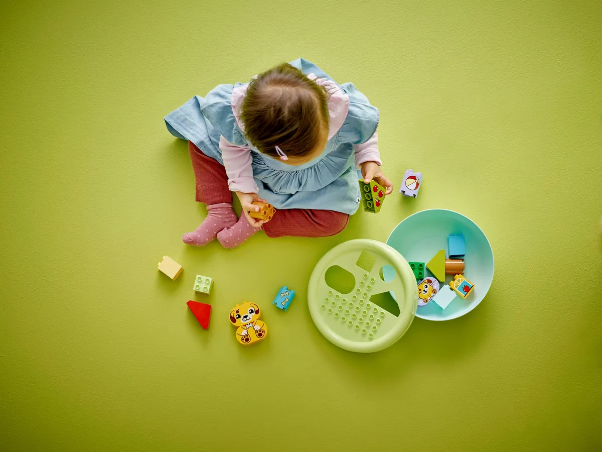 Shape Sorter: Puppy House - Image 3