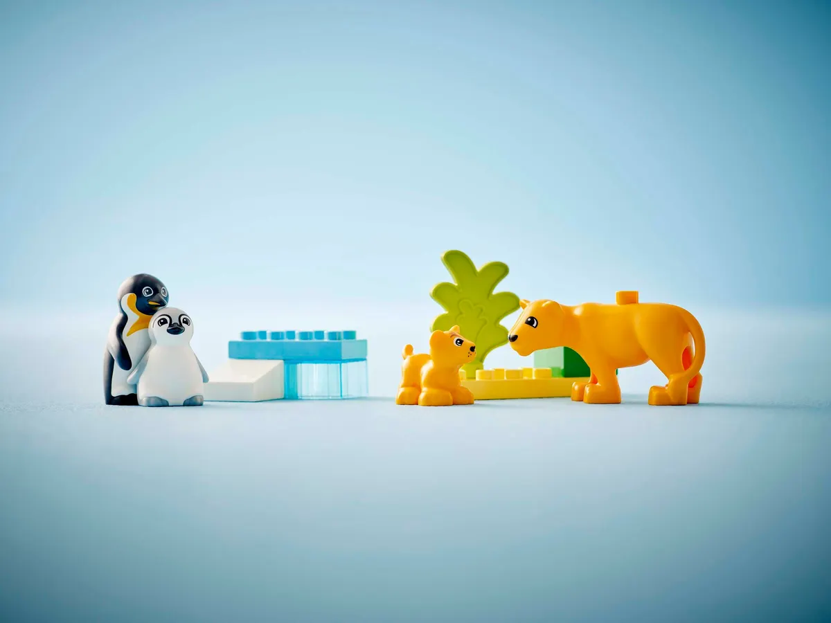 Wild Animal Families: Penguins & Lions - Image 5
