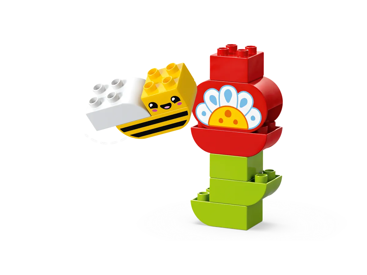 Creative Garden & Flowers - Image 7