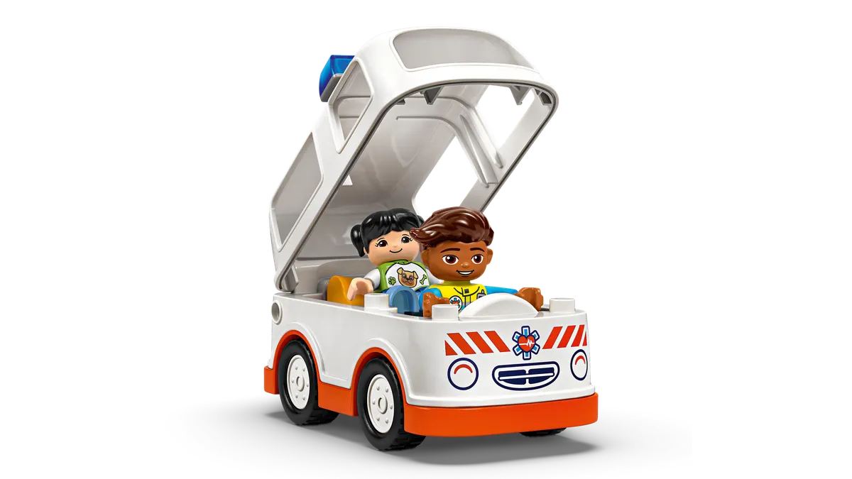 Ambulance & Driver - Image 8