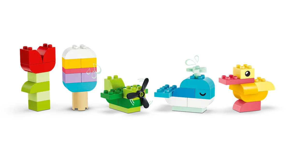 Colorful Creative Box - Image 4