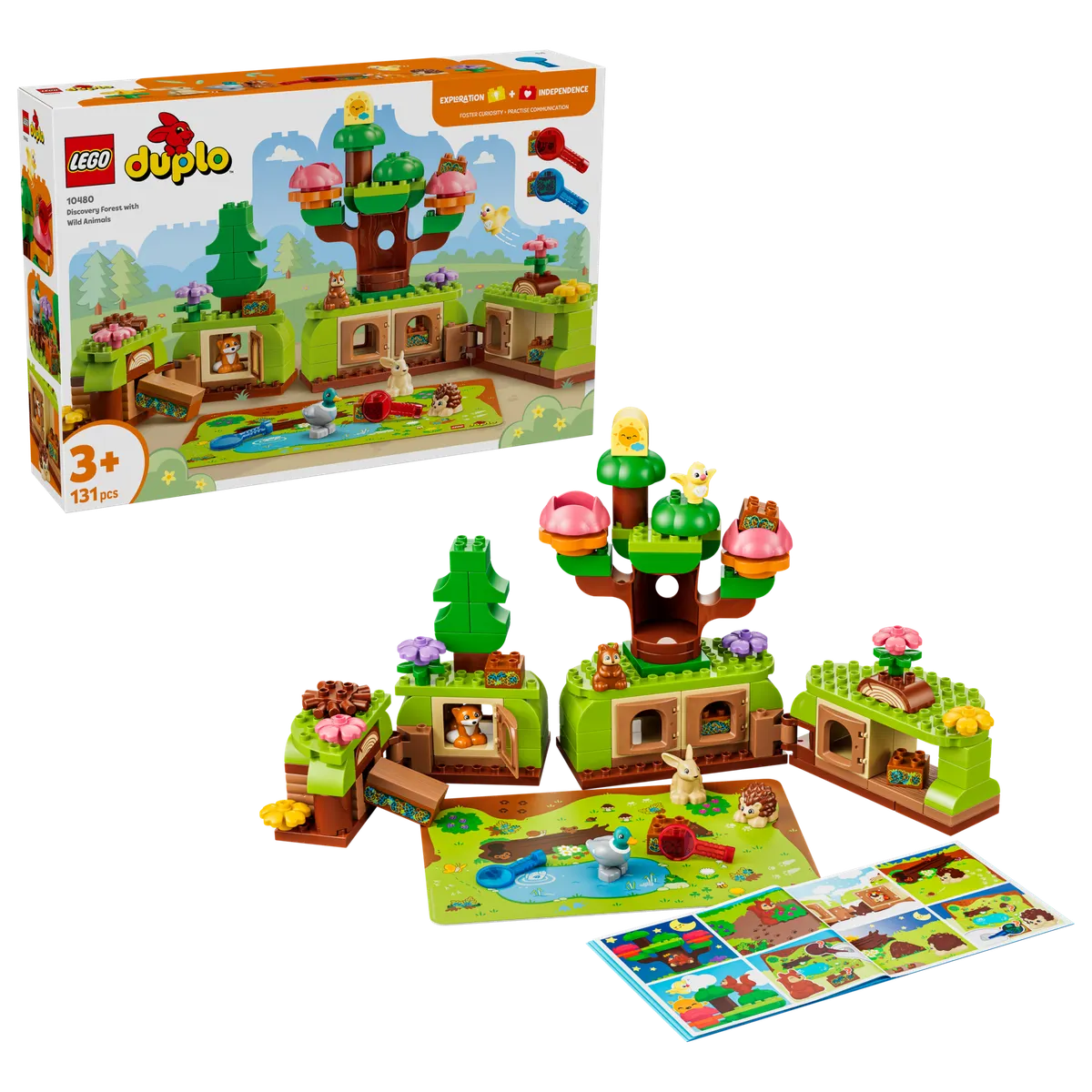 Discovery Forest with Wild Animals - Image 2