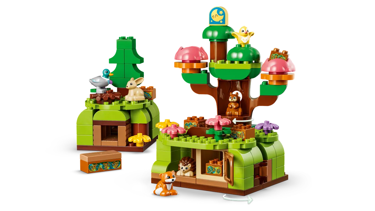 Discovery Forest with Wild Animals - Image 10