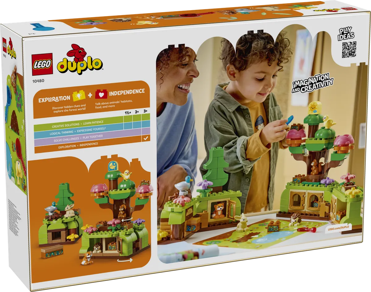 Discovery Forest with Wild Animals - Image 3