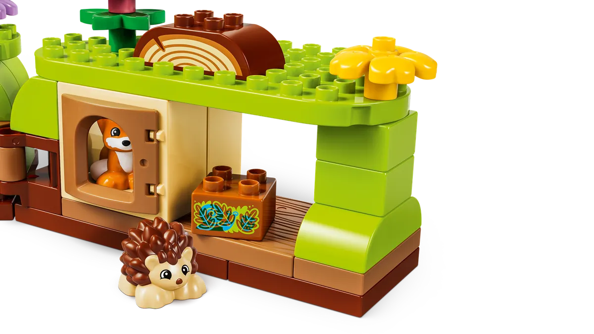 Discovery Forest with Wild Animals - Image 7