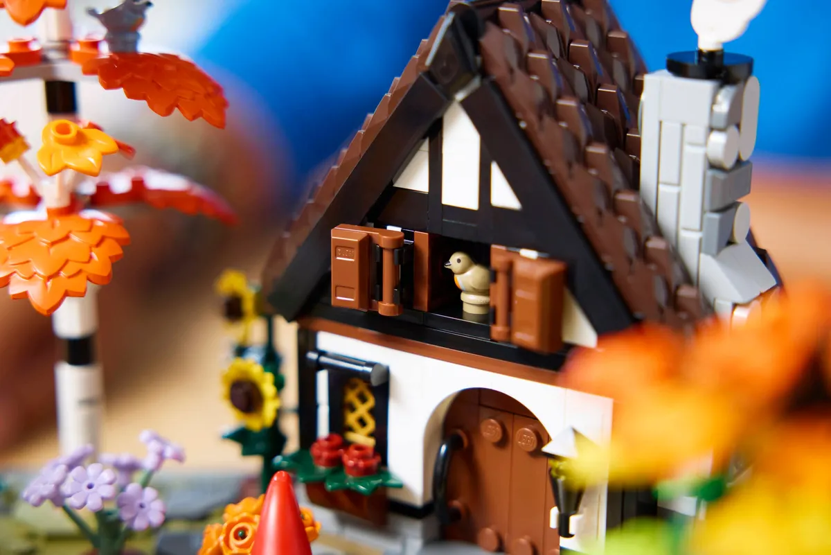 Autumn Cottage Garden - Image 6