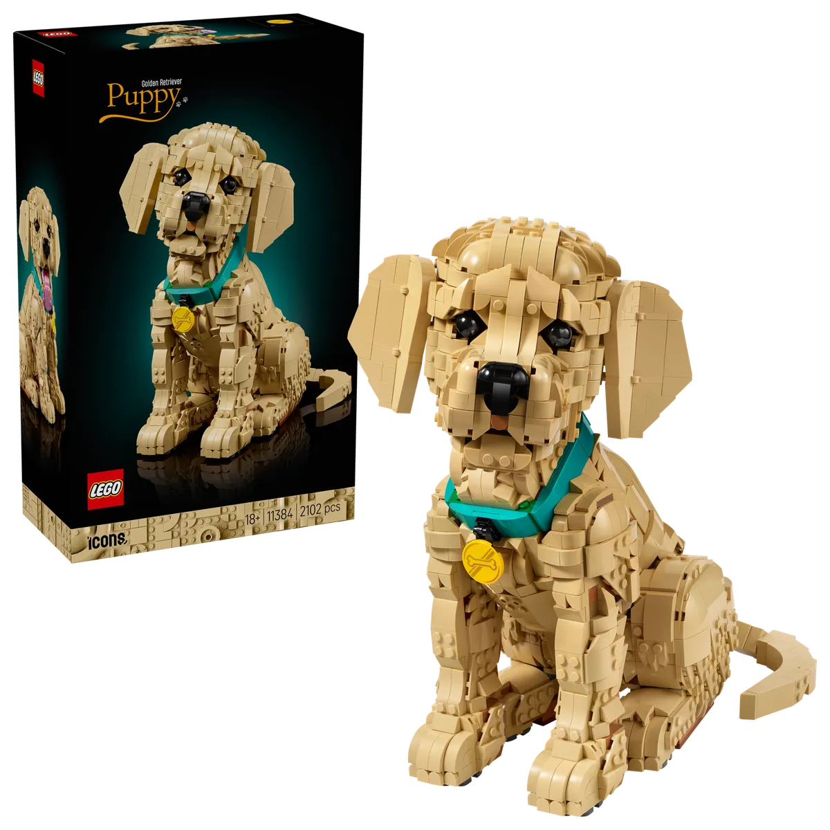 Golden Retriever Puppy - Image 13