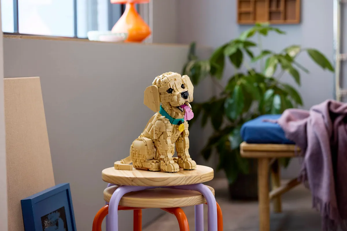 Golden Retriever Puppy - Image 15
