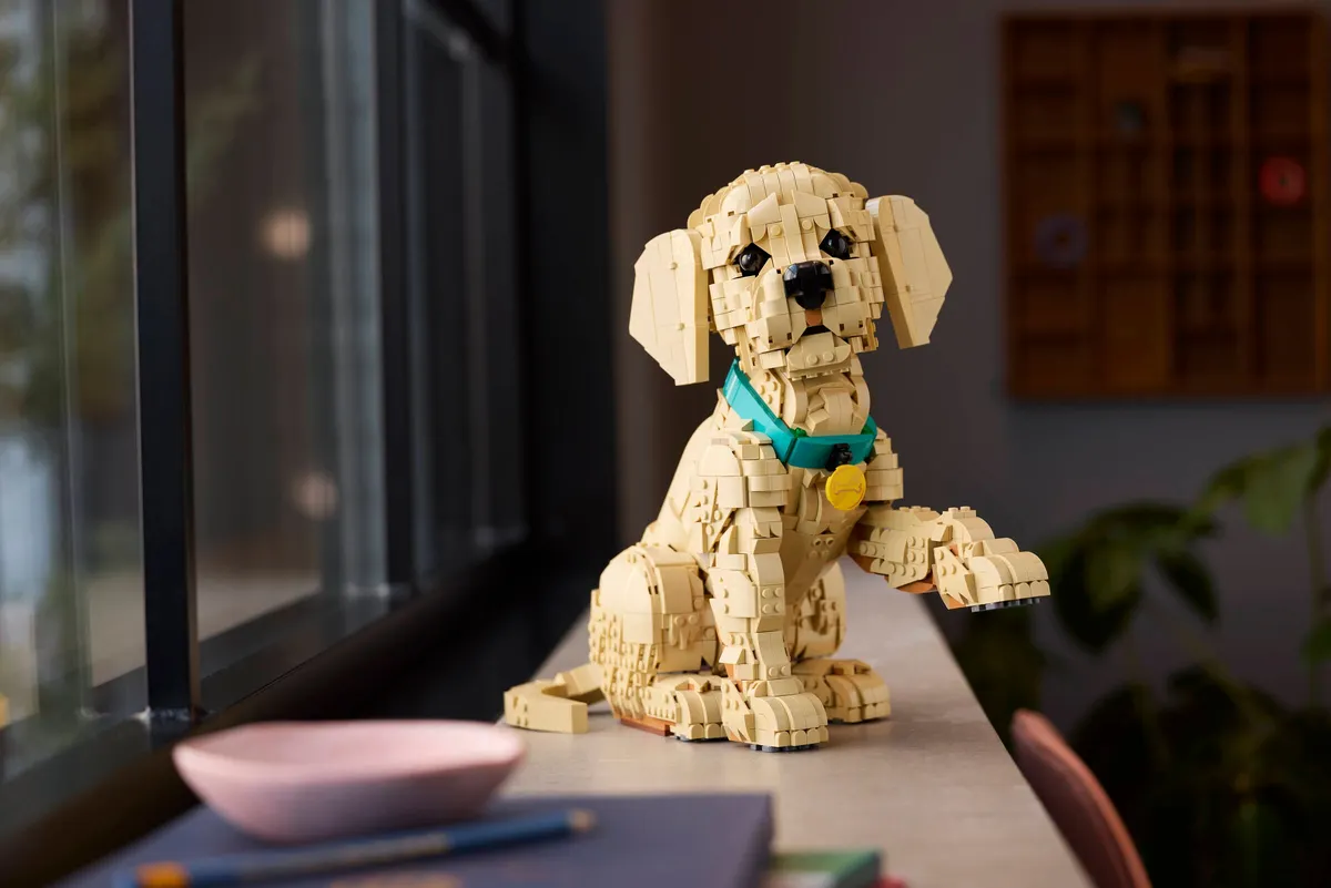 Golden Retriever Puppy - Image 10