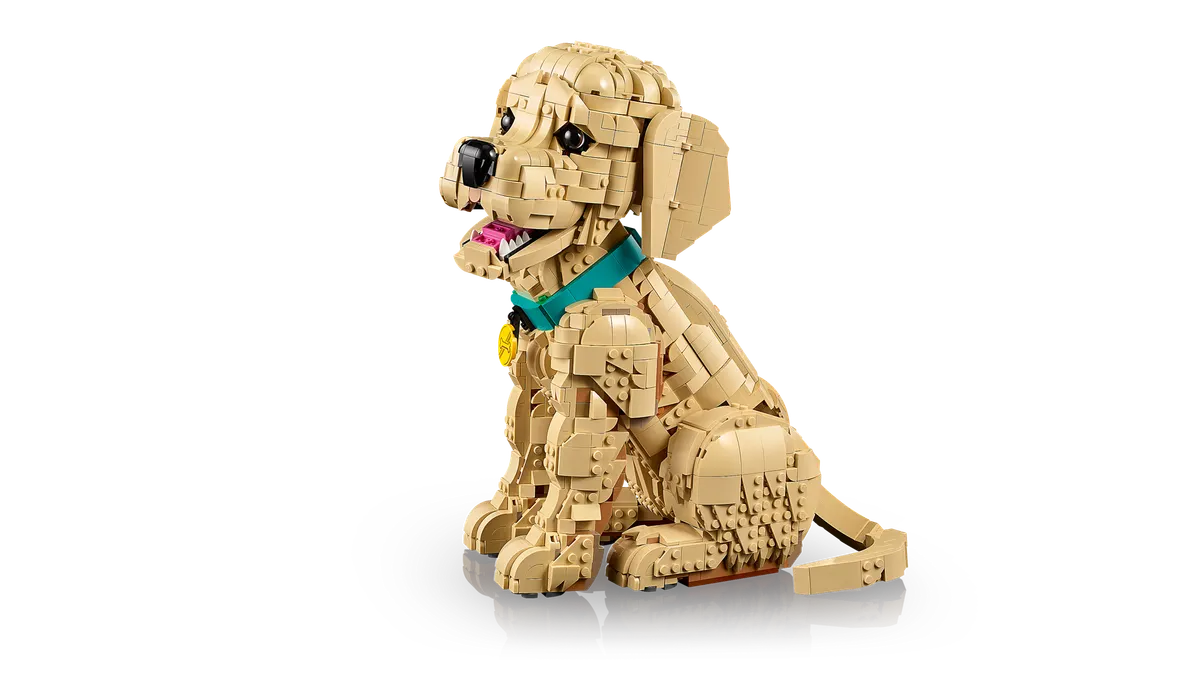 Golden Retriever Puppy - Image 14