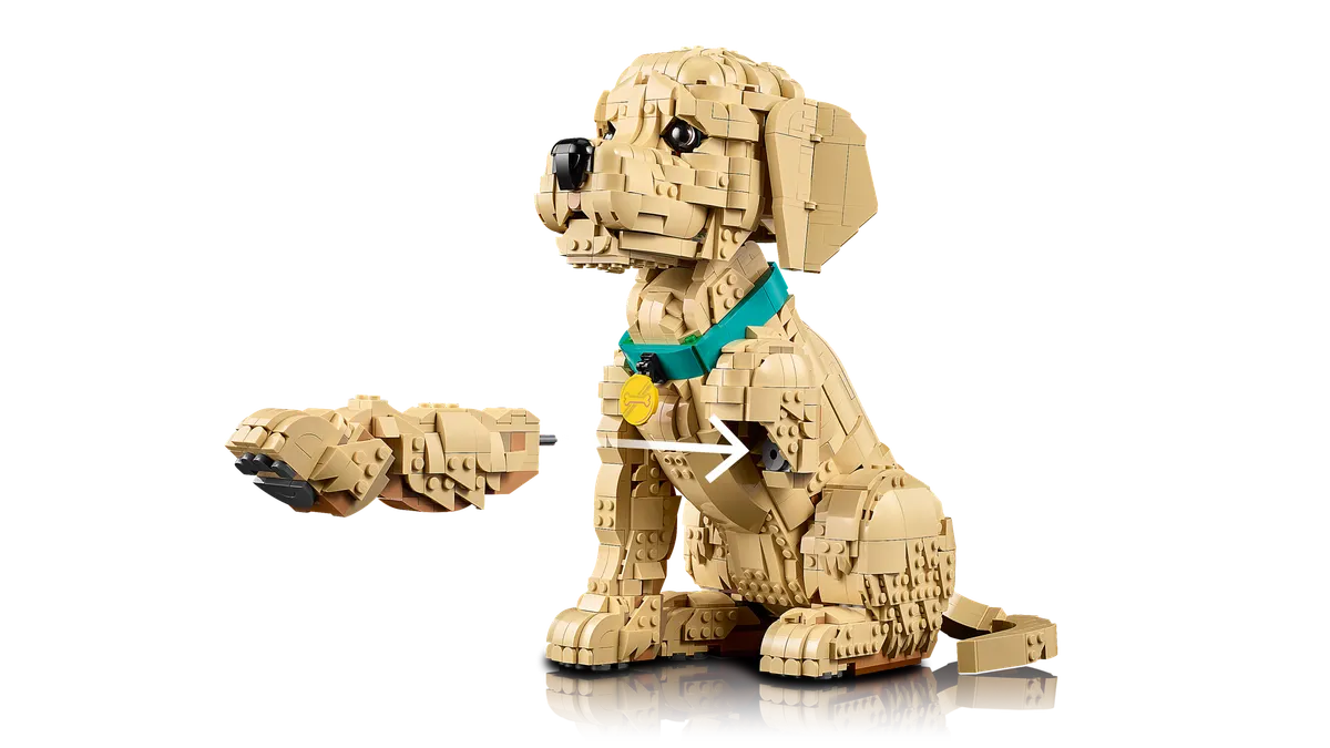 Golden Retriever Puppy - Image 11