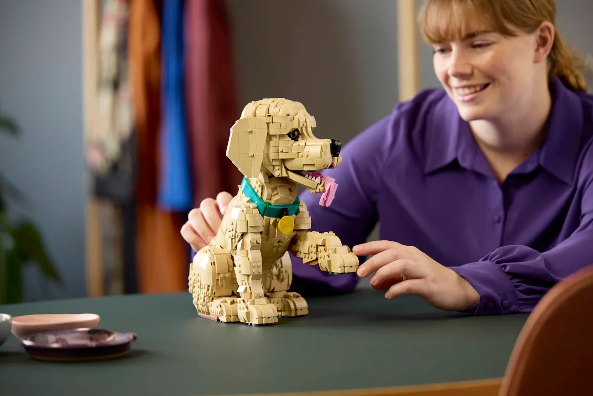 Golden Retriever Puppy - Image 16