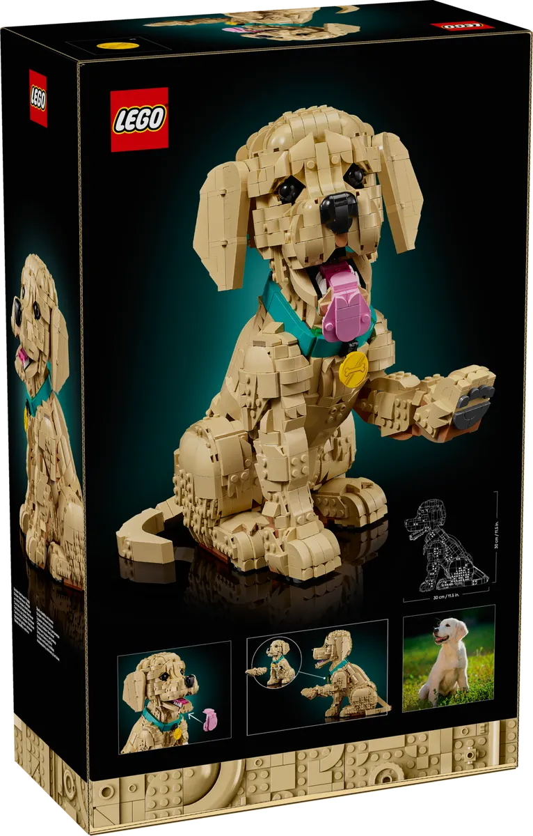 Golden Retriever Puppy - Image 12