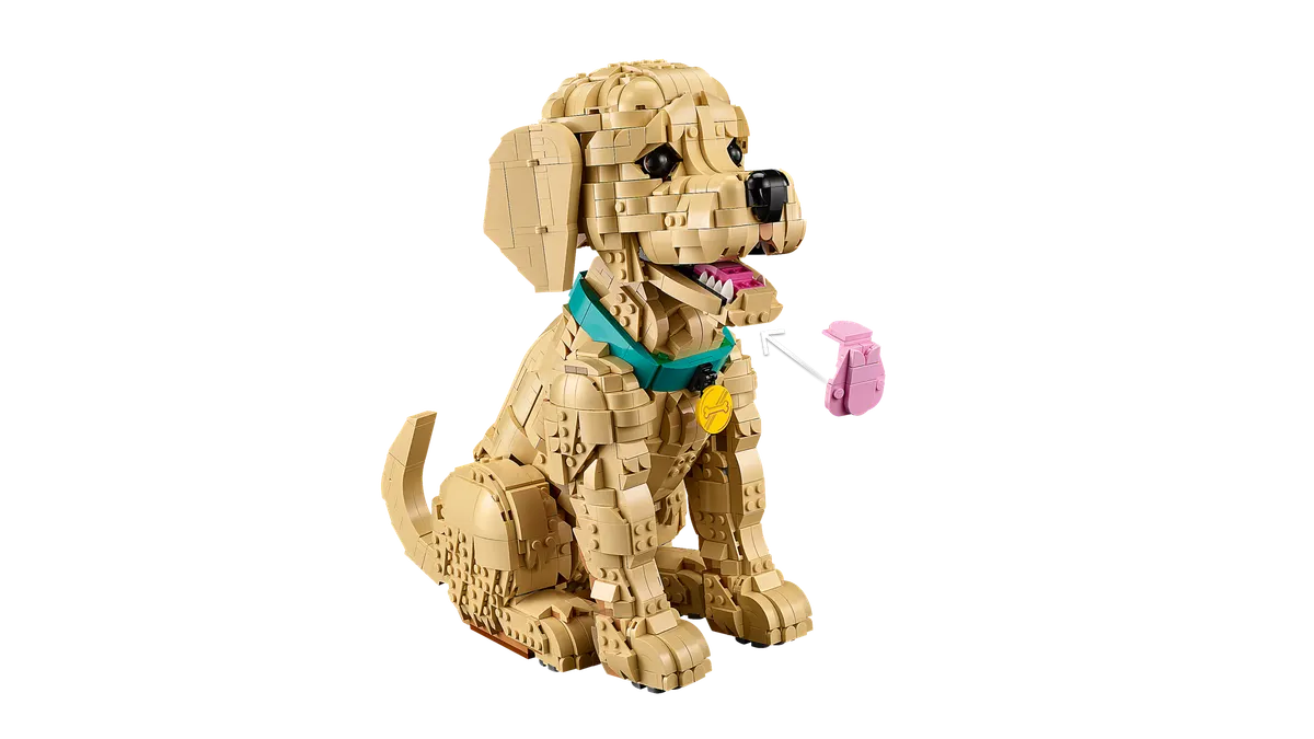 Golden Retriever Puppy - Image 5