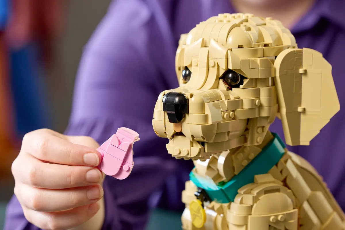 Golden Retriever Puppy - Image 6
