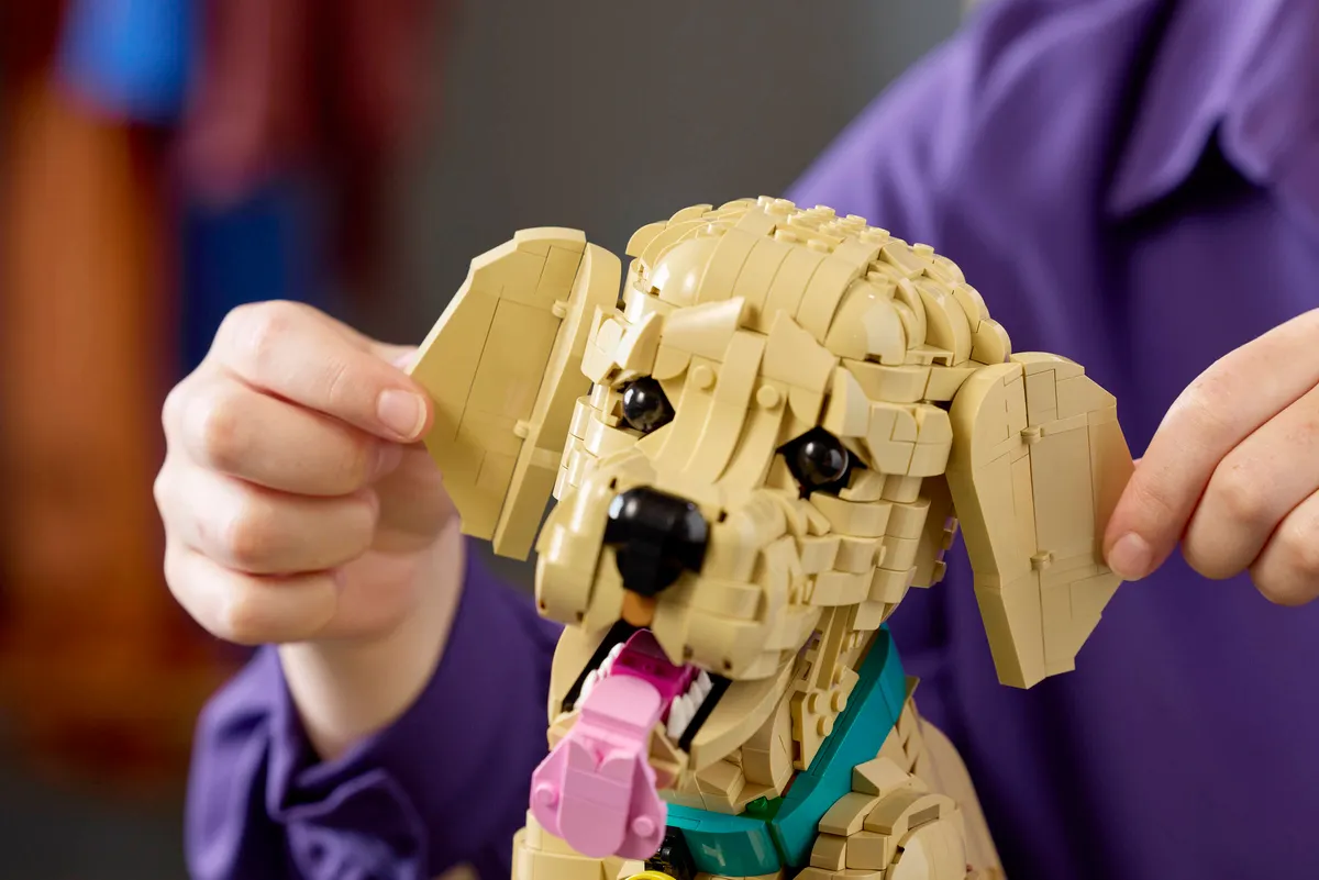 Golden Retriever Puppy - Image 3