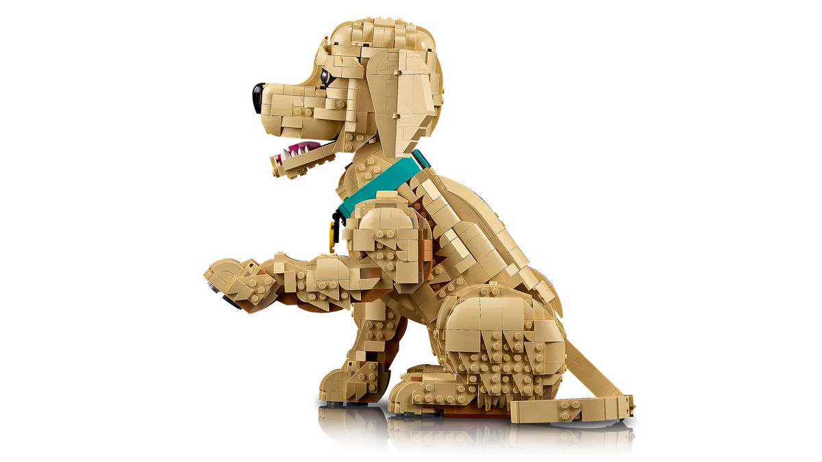 Golden Retriever Puppy - Image 8