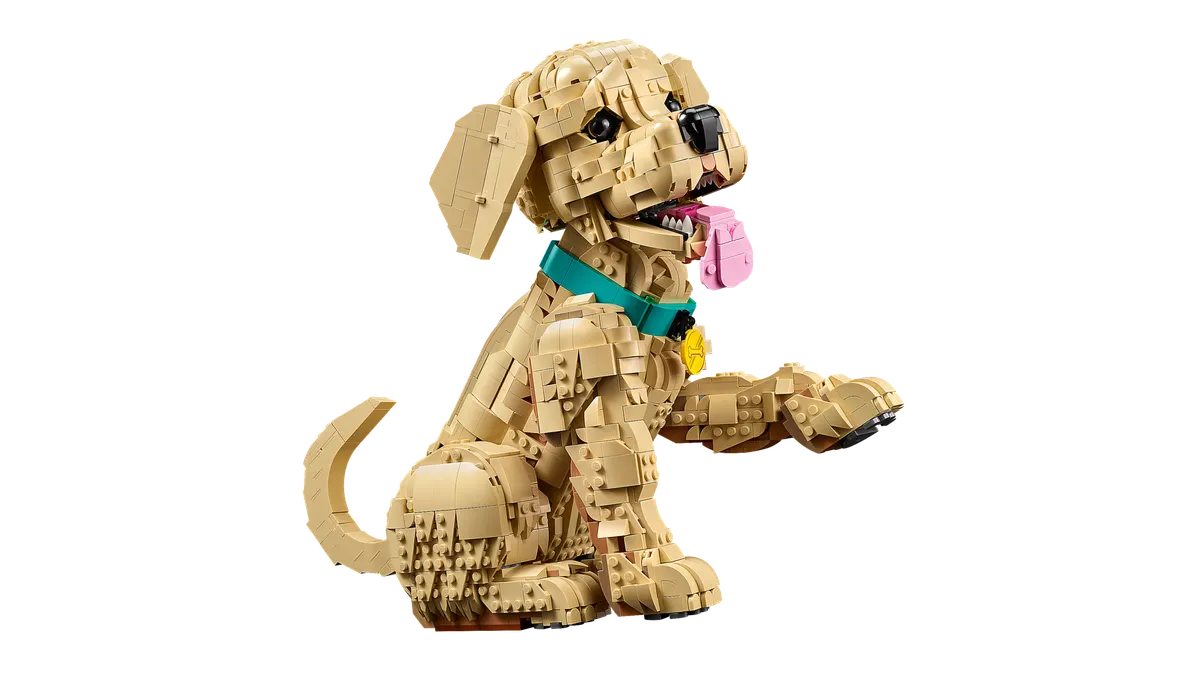 Golden Retriever Puppy - Image 2