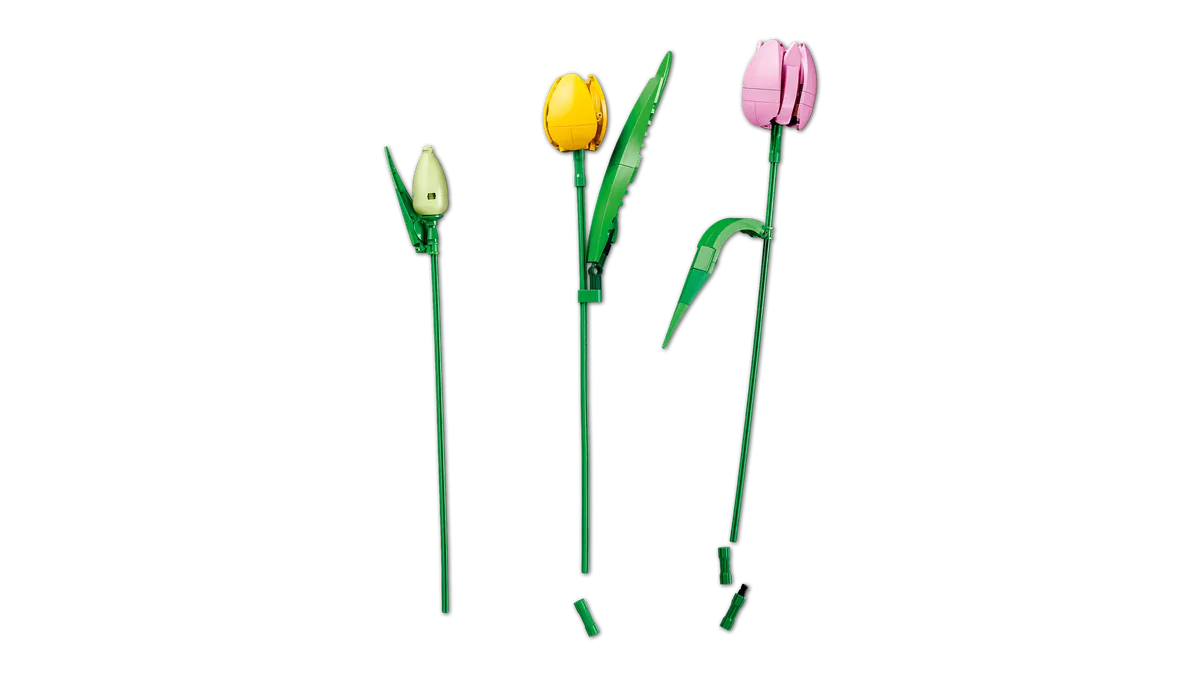 Tulip Bouquet - Image 13