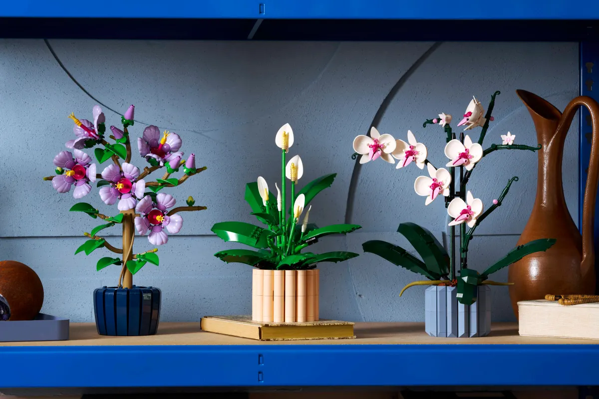 Peace Lily - Image 3