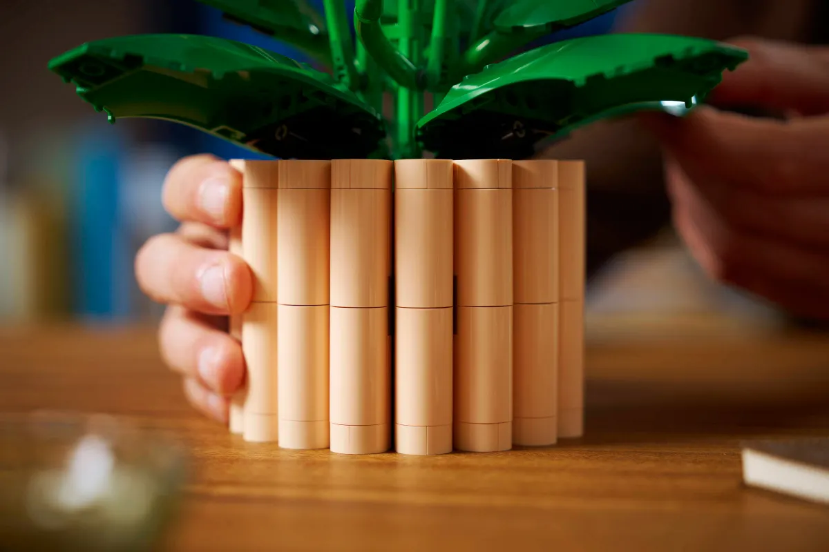 Peace Lily - Image 5