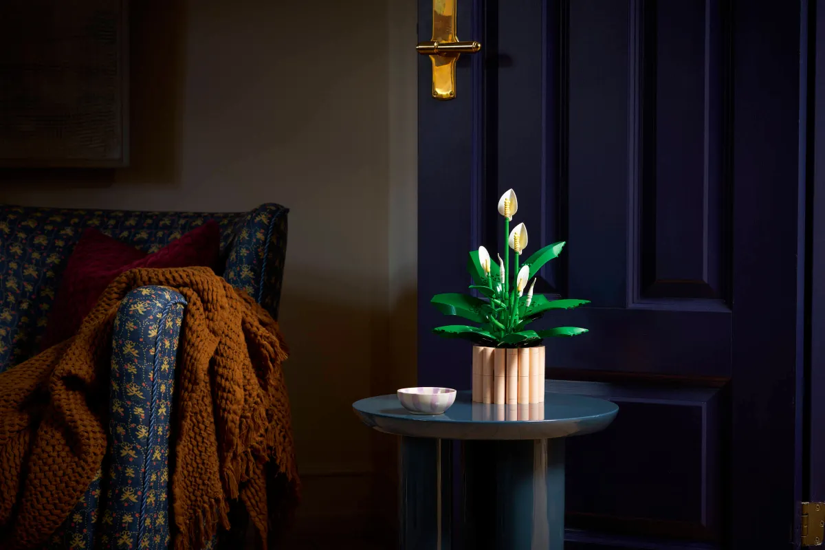 Peace Lily - Image 8