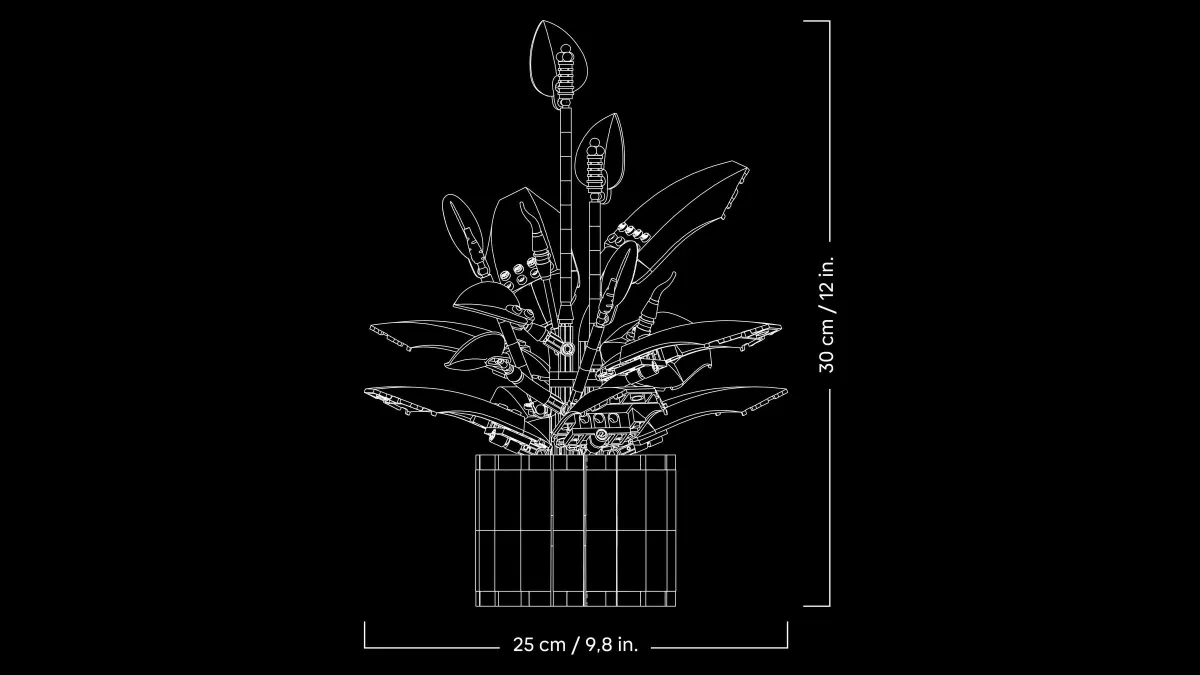 Peace Lily - Image 15