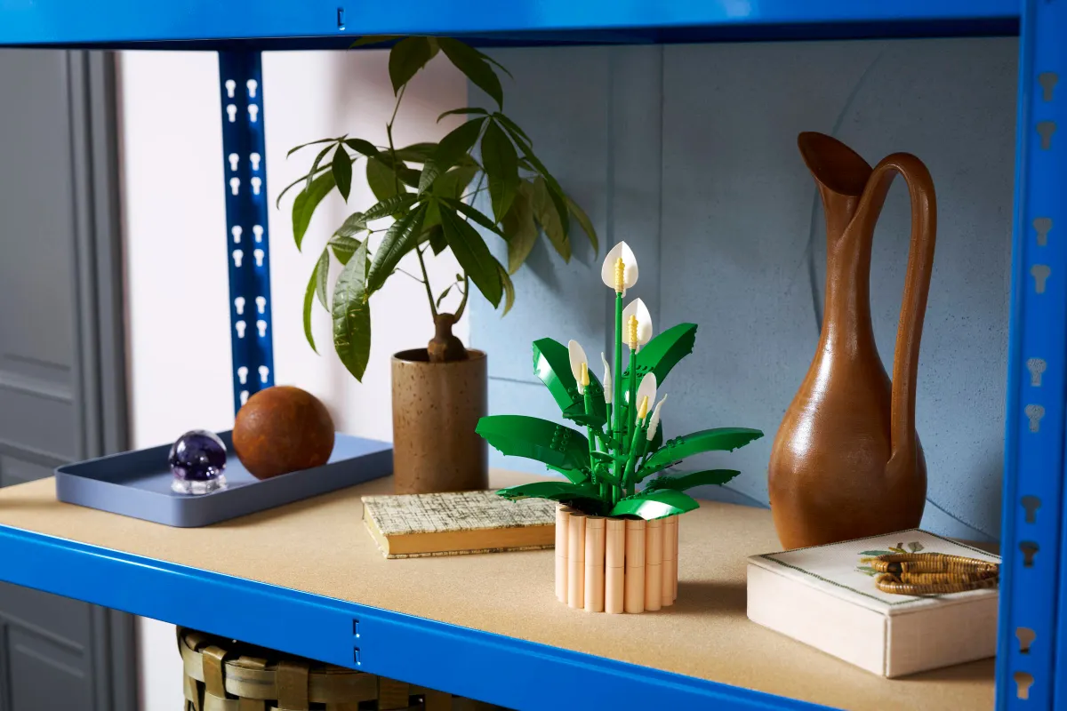 Peace Lily - Image 9